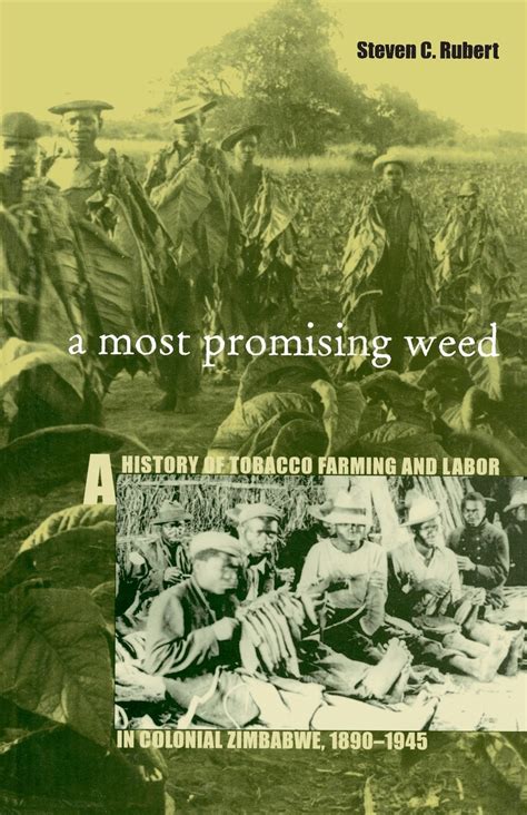 Most Promising Weed A History of Tobacco Farming and Labor in Colonial Zimbabwe Kindle Editon