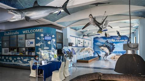 Mote Marine Laboratory: A Hub of Marine Science Innovation and Career Opportunities