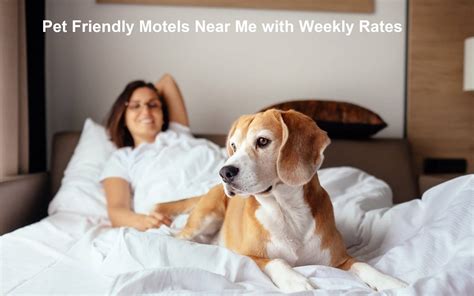 Motels Near Me That Accept Pets: A Comprehensive Guide