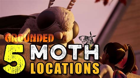 Moth Armor Grounded: 10,000+ Tips to Protect Your Home