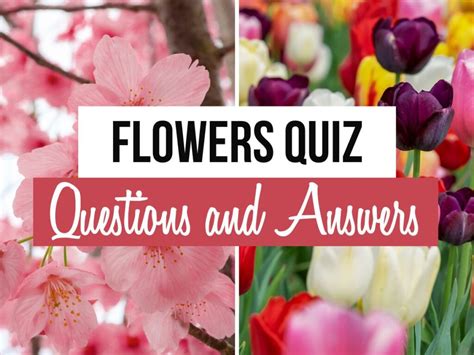 Mothers Union Flower Quiz Answers Doc