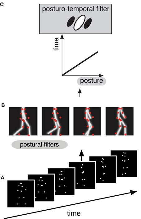 Motion Representation and Perception Doc