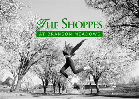 Motivations Behind Branson Meadows' Success: