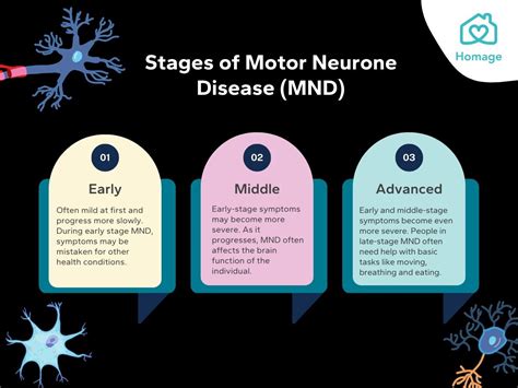 Motor Neuron Diseases Causes Doc