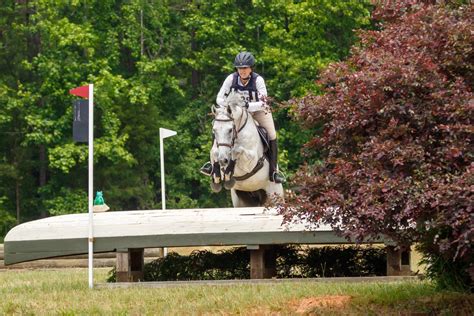 Mount Horse: Your Essential Guide to Equestrian Excellence