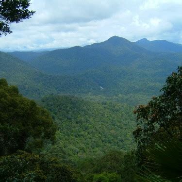 Mount Janing Barat: