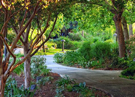 Mount San Antonio Gardens: The Ultimate Guide to California's Floral Paradise