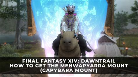 Mount Speed in Final Fantasy XIV: A Comprehensive Guide