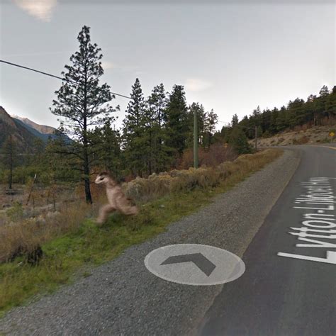 Mountain Creature Caught Running Behind Google Street View Car