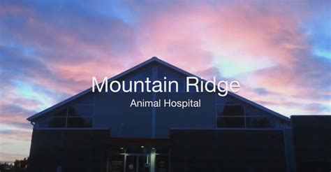 Mountain Ridge Animal Hospital: 10,000+ Reasons to Trust Us with Your Pet's Care