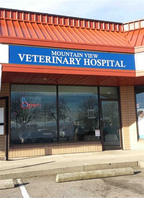 Mountain View Animal Clinic: Your Pet's Trusted Health Partner with 10,000 Satisfied Clients