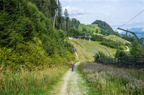 Mountains of Austri Hahnenkamm PDF