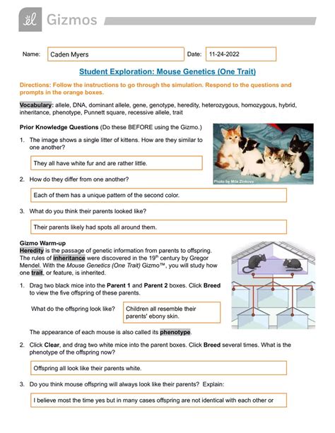 Mouse Genetics Assessment Answers Doc