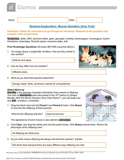 Mouse Genetics One Trait Gizmo Answer Key Doc