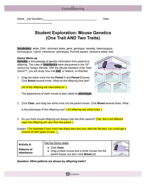 Mouse Genetics Two Traits Gizmo Answer Key PDF