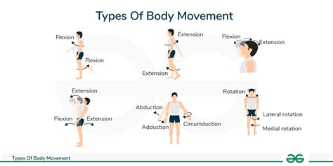 Movement 1 Doc