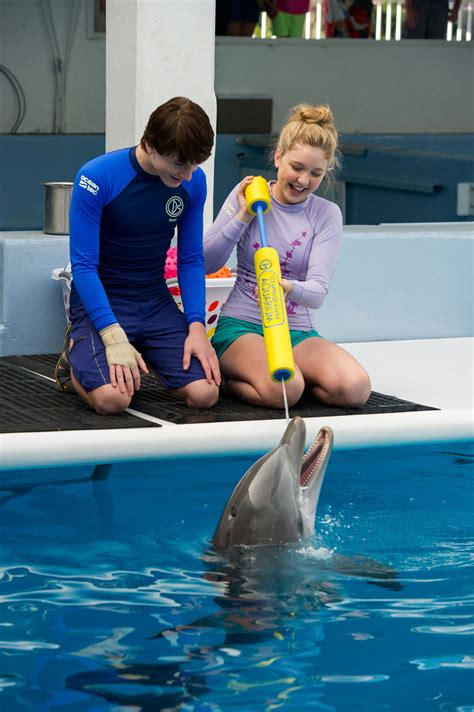 Movie Stars: Meet the Cast of Dolphin Tale 2