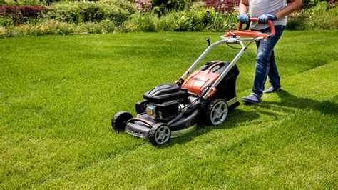 Mow the lawn: