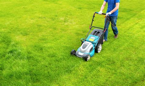 Mow your lawn regularly.