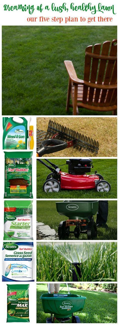 Mowing After Fertilizer: A 5-Step Guide to Lawn Health