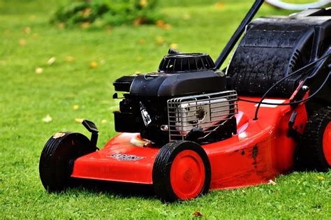 Mowing After Fertilizing: 10,000-Word Guide to Lawn Care