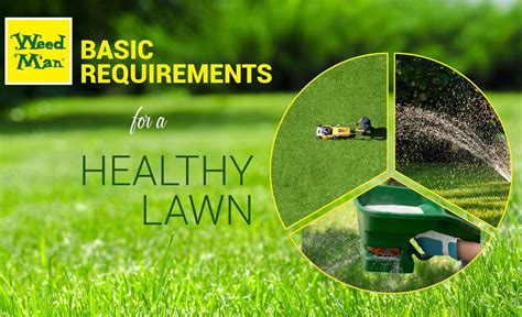 Mowing After Fertilizing: 3 Essential Rules for a Lush Lawn