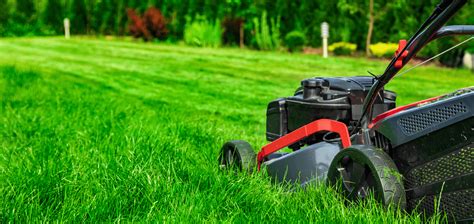 Mowing After Fertilizing: A 5,000-Step Guide