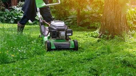 Mowing After Fertilizing: The 3-14-7 Rule for a Healthy Lawn