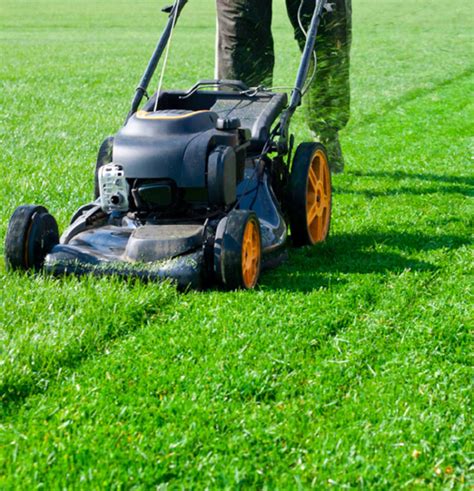 Mowing at the Master s Level Kindle Editon
