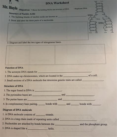 Mr Hoyle Dna Worksheet Answers Kindle Editon