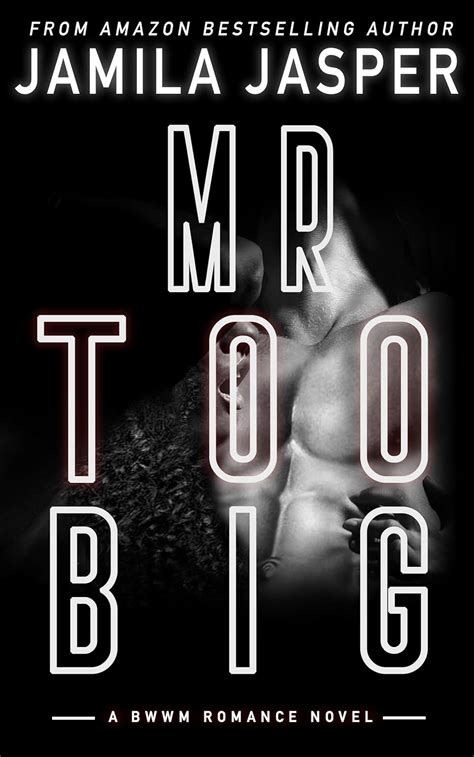 Mr Too Big BWWM Hitman Romance Novella Reader