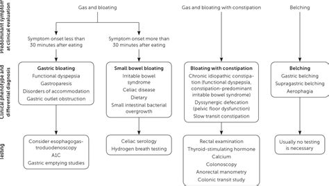 Ms. Betty Farts: A Comprehensive Exploration of Gas and Bloating Management