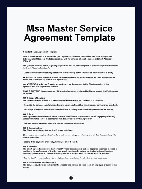 Msa Contract Template