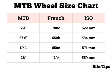 Mtb Tire Size Chart