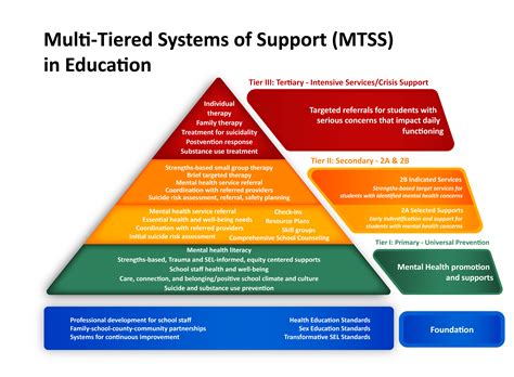 Mtss Framework Template