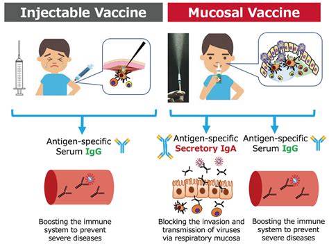 Mucosal Vaccines Doc