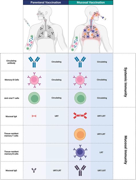 Mucosal Vaccines Doc