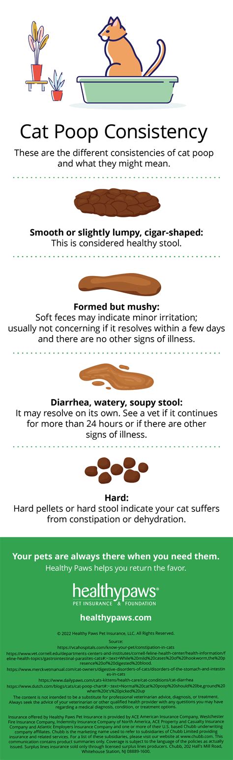 Mucus in Cat's Stool: A Guide to 4 Common Causes and 8 Treatment Options