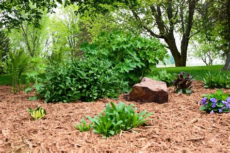 Mulching Magic: