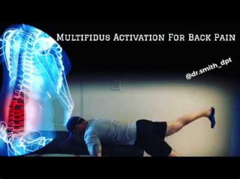 Multifidus Back Pain Solution Doc