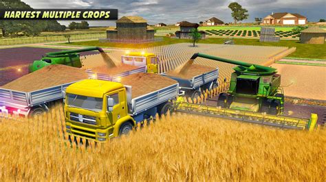 Multiplayer Farm Sim Games: A Virtual Farming Extravaganza