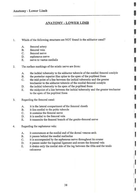 Multiple Choice Questions And Answers Lower Limb PDF