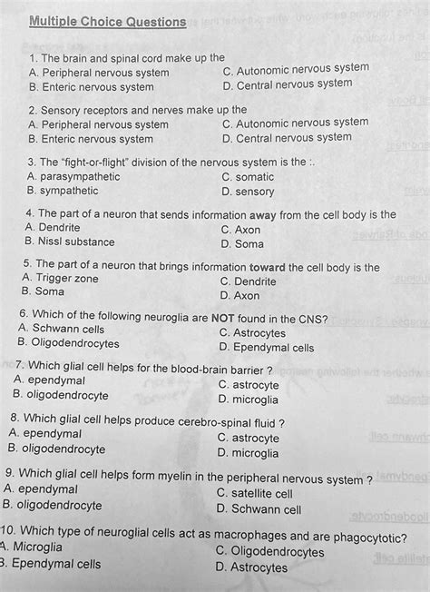 Multiple Choice Questions And Answers Nervous System Epub