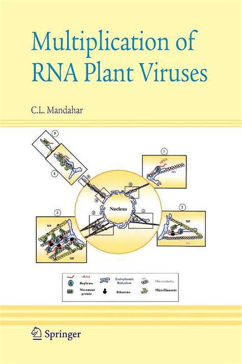 Multiplication of RNA Plant Viruses 1st Edition Reader