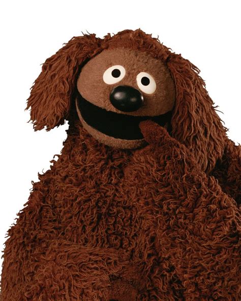 Muppet Dog Breeds: Uncovering the Adorable Characters Behind the Puppets