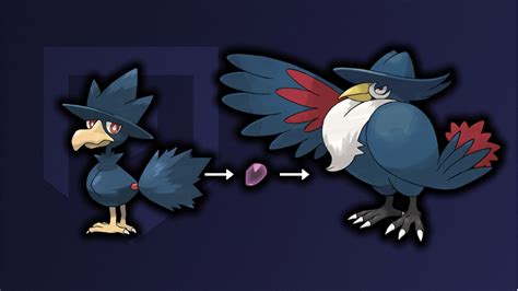 Murkrow Evolution Level: Everything You Need to Know!