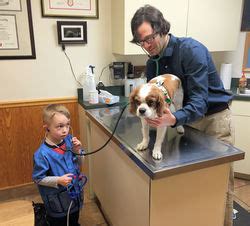 Murray Hill Vet Associates: 2,000+ Services for Your Beloved Pets