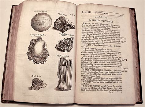 Musaeum Regalis Societatis Or A Catalogue And Description Of The Natural And Artificial Rarities Bel Epub