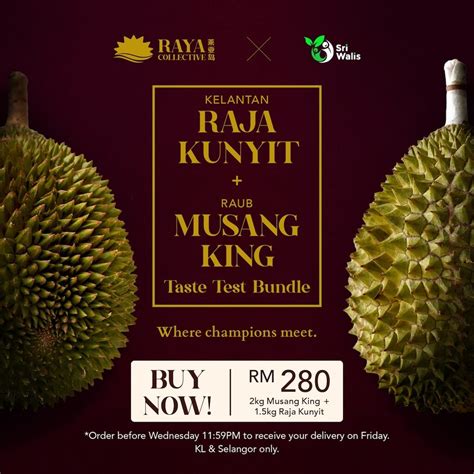 Musang King (Raja Kunyit):