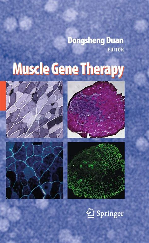 Muscle Gene Therapy 1st Edition Doc